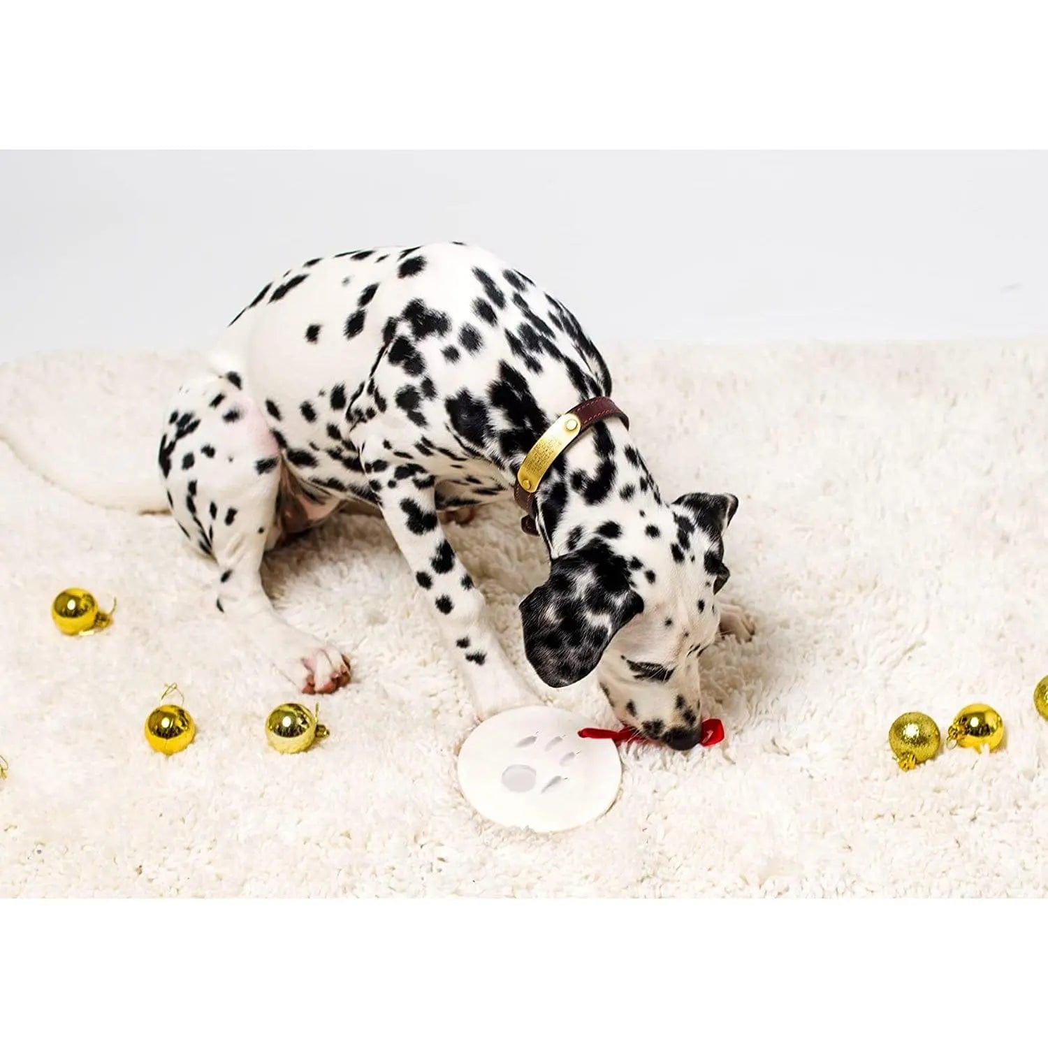 Kit de d'empreinte de patte pour animaux de compagnie, type de boucle de  cadre photo avec empreintes de pattes pour chiens et chats(Argile Bleue