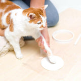 Suspension empreinte de patte plâtre pour chien ou chat - La Patte Verte